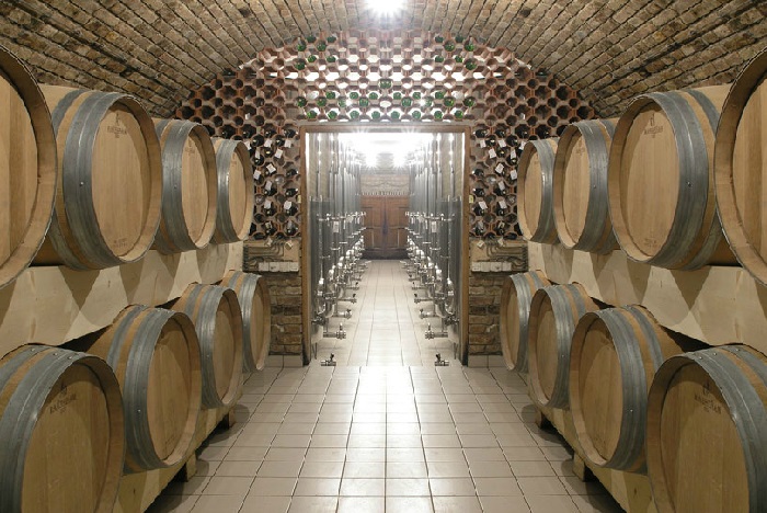 Vinarija Kovačević 4